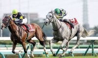 【AJCC想定騎手】ガイアフォースはC.ルメール騎手、エピファニーは戸崎圭太騎手