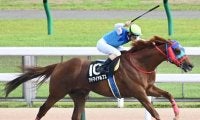 波乱の使者は名牝ダイナカール系!? 今週の重賞に出走する2頭に要注意
