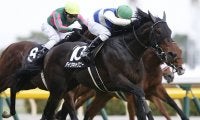 中央の「冠名ダイワ」最後の1頭、衝撃のデビュー戦を見せた重賞2勝馬らがJRA登録を抹消