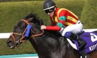 キンシャサノキセキが種牡馬引退 10＆11年に高松宮記念を連覇