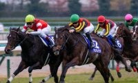 グランアレグリアが初仔を出産 エピファネイア産駒の牡馬
