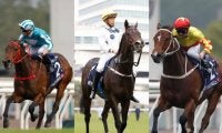 「16連勝」vs「14戦全連対」vs「10戦9勝」 香港の最強格3頭が激突するドリームレースが今週日曜日に開催