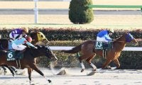 【根岸S】断然人気レモンポップが重賞初制覇