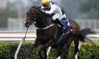 香港3強揃い踏みは「最強馬」ゴールデンシックスティに軍配