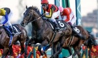 【東京新聞杯展望】東の古馬マイル開幕戦、あの馬の重賞初制覇に期待したい