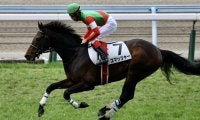 【小倉5R/障害未勝利】スマッシャーが断然の人気に応えて障害初勝利