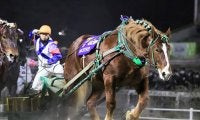 100円が2217万円に！ ばんえい競馬の7重勝式で史上最高配当を350万円更新