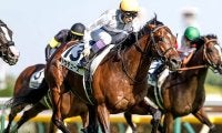 【京都記念】クラシック勝ち馬の激突は00年以降に9回！ その意外な結末とは