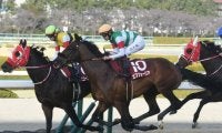 2月12日競馬開催出来事一覧 エフフォーリアが心房細動で競走中止/東京・阪神・小倉