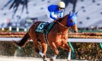 今年最初のJRA・GIフェブラリーS/今週の競馬界の見どころ