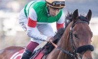 エフフォーリアが種付けシーズン中のスタッドイン 過去に同じ道たどった名馬は？
