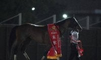 【フェブラリーS予想】コース適性もありメンバー構成にも恵まれたAIの注目馬とは？