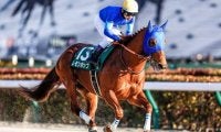 【フェブラリーS予想】本命級の回避、海外馬や地方馬の参戦 難解な上半期のダート最強馬決定戦