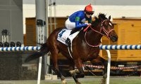 【1351ターフスプリント結果】バスラットレオンが逃げ切って海外重賞2勝目 日本馬連覇