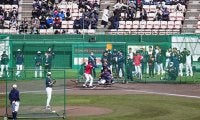 ダルビッシュ見たくてグラウンド“大混雑”　捕手の後方から…試合前の鷹ナインが集結