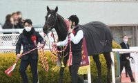 阪急杯勝ち馬の父は海外G1スプリンター 牝系の質も上々の良血