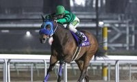 【名古屋・スプリングC結果】セブンカラーズが人気に応えて無傷6連勝