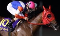 地方交流重賞で5勝の9歳牝馬 ラストランのエンプレス杯でも力強い走りを