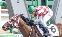 初障害のジジが予後不良 阪神4Rで転倒し競走中止