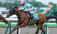 牝馬クラシック路線で強いノーザンファーム生産馬 “苦手”フィリーズレビューの連覇なるか
