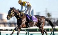 【阪神スプリングJ枠順確定】ニシノデイジーは2枠2番、ゼノヴァースは8枠11番