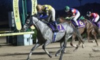 【佐賀・はがくれ大賞典】高知所属、グリードパルフェが快勝…断然人気ヒストリーメイカーは8着敗退