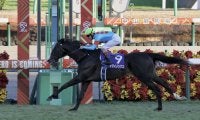 2023ドバイワールドカップデー JRA所属馬の招待受諾