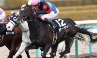 武豊騎手が東の名門堀厩舎とタッグ 阪神大賞典で管理馬15年ぶりのV狙う