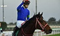 【ゴドルフィンM枠順】連覇狙うバスラットレオンは8番、重賞2勝馬ウインカーネリアンは9番ゲートに