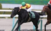 高松宮記念で「絶対王者」の誕生なるか 混戦極めるスプリント戦線に断を下す有力候補３頭