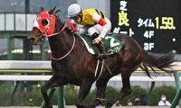 【海外競馬】豪G1出走のユニコーンライオンとホウオウアマゾンが現地到着