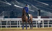 【ドバイターフ】ダービー馬・ドウデュースが左前肢破行により出走取り消し