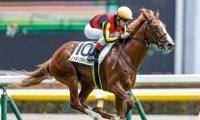 【毎日杯予想】ダービーとの関連性が深いレースでキャリアの浅い馬の戦いっぷりとは