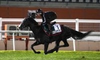 ドバイWCデーの馬券発売４レースで狙うべき「盲点の馬」は？イクイノックスら人気の日本馬たちの陰に実力馬あり