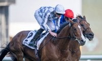 【ドバイゴールドカップ】キーファーズ共同所有、ブルームが差し切りV