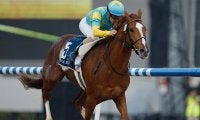 【UAEダービー結果】デルマソトガケが逃げて圧勝 日本馬4着まで独占