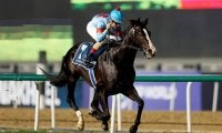 【ドバイシーマC】日本馬イクイノックス、レコード圧逃Vで世界制覇　鞍上ルメールは“ペッパーミル・パフォーマンス”披露