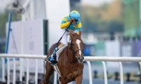 【UAEダービー】デルマソトガケが逃げ切りV…日本勢ワンツースリーフォー