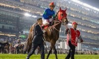 【ドバイWC】矢作師「厳しい競馬で馬が可哀想だった」パンサラッサは10着敗退