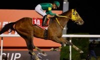 【ドバイWC】日本馬ウシュバテソーロ、破竹の5連勝で世界の頂点に立ち“賞金9億円”を獲得　次は凱旋門賞が視野