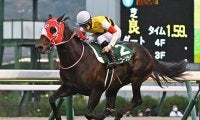 【JRA】豪G1クイーンエリザベスSの勝馬投票券を発売