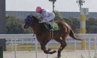 【名古屋CCオレンジ賞】永島まなみがイリスレーンで逃げ切りV…3馬身差快勝