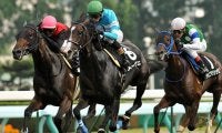 タイトルホルダーの母メーヴェに5年ぶりの産駒誕生 父ベンバトルの牝馬