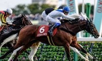 イズジョーノキセキやウインシャーロットなど阪神牝馬Sに12頭