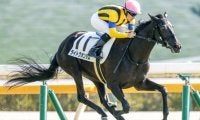 桜花賞でディープインパクト産駒の13年連続クラシック制覇なるか/今週の競馬界の見どころ