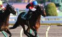 【桜花賞予想】戦績安定馬も過信禁物？ コース実績、馬体重などから明暗を分けるポイント解説