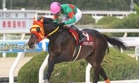 【園田・菊水賞結果】ベラジオソノダラブが逃げ切って重賞3勝目