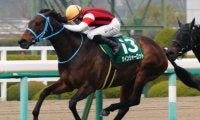 名牝2頭の連続連対記録に並ぶか ウインシャーロットが阪神牝馬Sで快挙挑戦