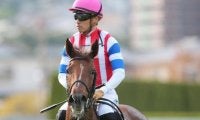 【阪神牝馬S予想】桜花賞と同条件で傾向も酷似！ 好走に必要不可欠な条件とは
