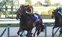 【桜花賞予想】牝馬クラシック第1戦 スピードと瞬発力が勝負のカギ握る